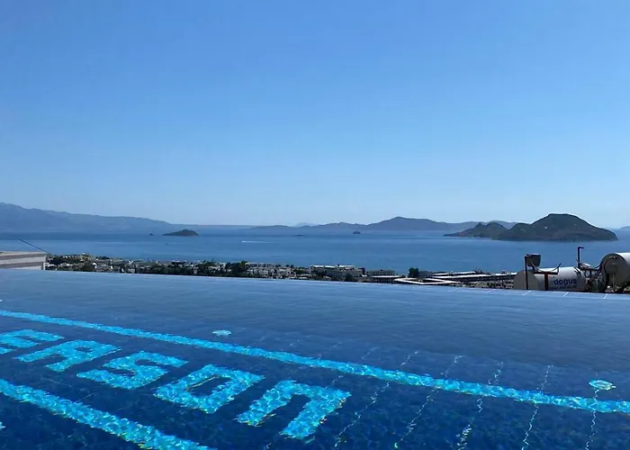 Eason & House 350m2 Full Sea View With Private Infinity Pool Villa