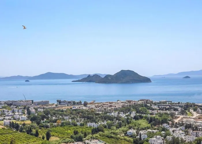 Eason & House 350m2 Full Sea View With Private Infinity Pool 别墅 *